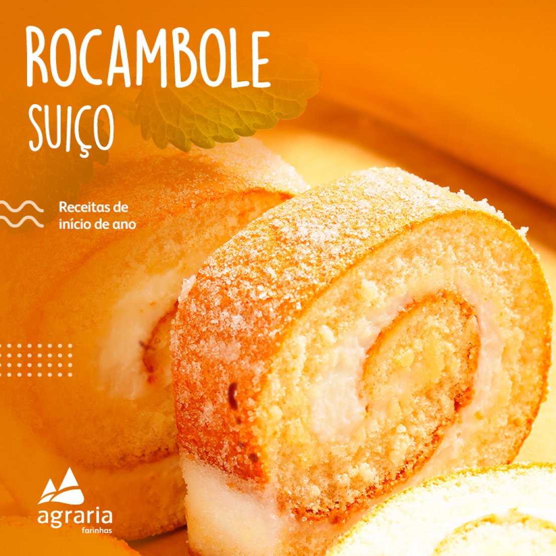 Rocambole Suico