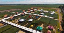 Dia de Campo de Ver&atilde;o destaca import&acirc;ncia de commodities para rentabilidade do cooperado