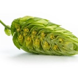 Cascade Alem&atilde;o