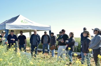 3º Giro Técnico de Cultivos Outonais e Invernais