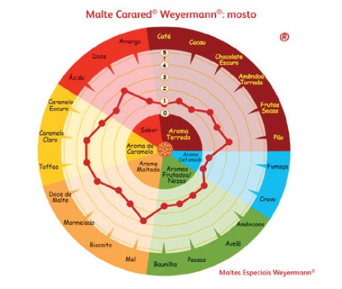 Complemento