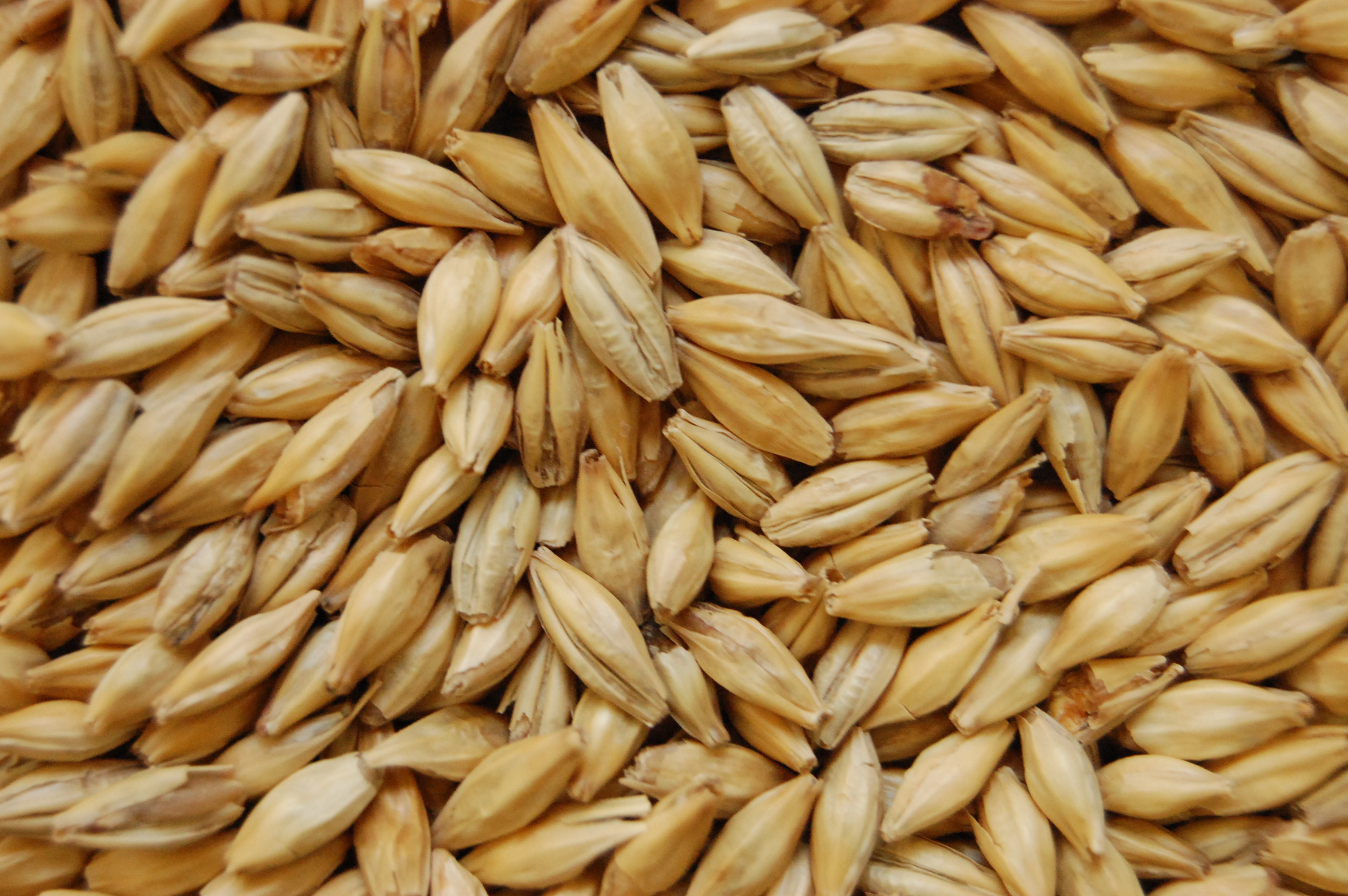 Dextrin MD