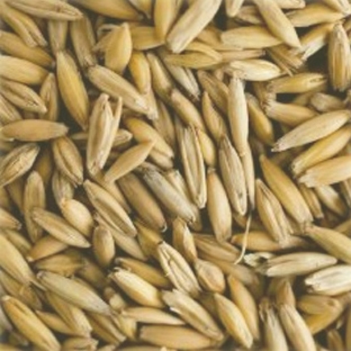 Malte de Aveia Naked (Sem Casca)