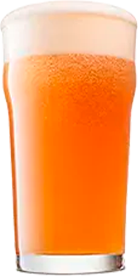 Vienna Lager