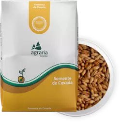 Semente de Cevada