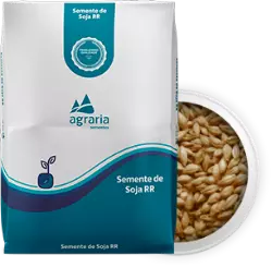 Semente de Soja GMO Free