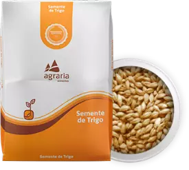 Semente de Soja Transg�nica